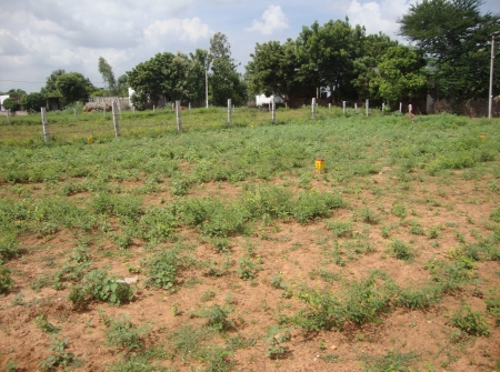 3) Land for Sale Near Sri Kalahasthi.JPG